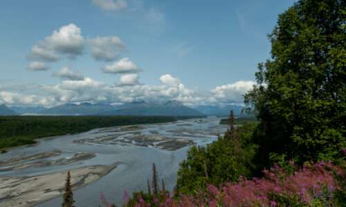 2019_07_30 Die Fahrt zum Denali