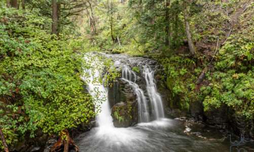 2019_09_22 Portland – Im regen Wandern mit Glen