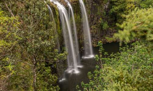 2019_12_23 Whangarei Falls